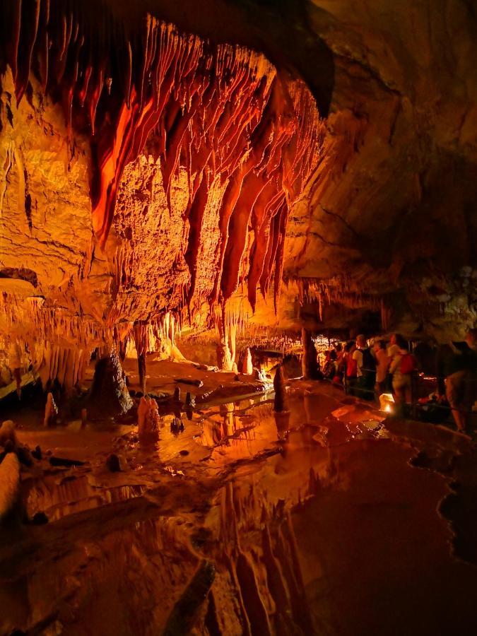 Magnifique Gite En Pierres 6 Personnes Avec Piscine Privee Ardeche Plein Sud Lablachère المظهر الخارجي الصورة